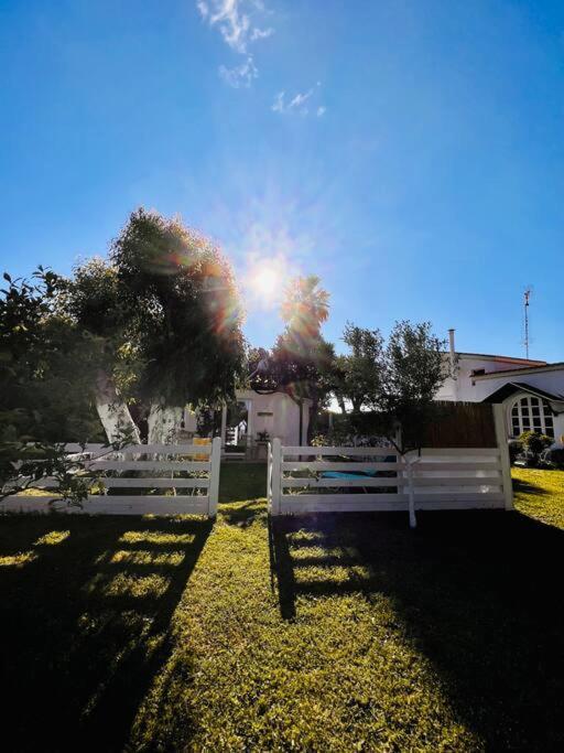 Under The Vine Garden House Apartment Platanion Exterior photo